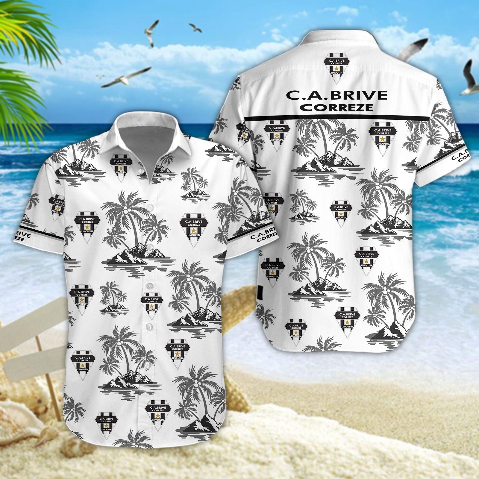 CA Brive WINQ1231