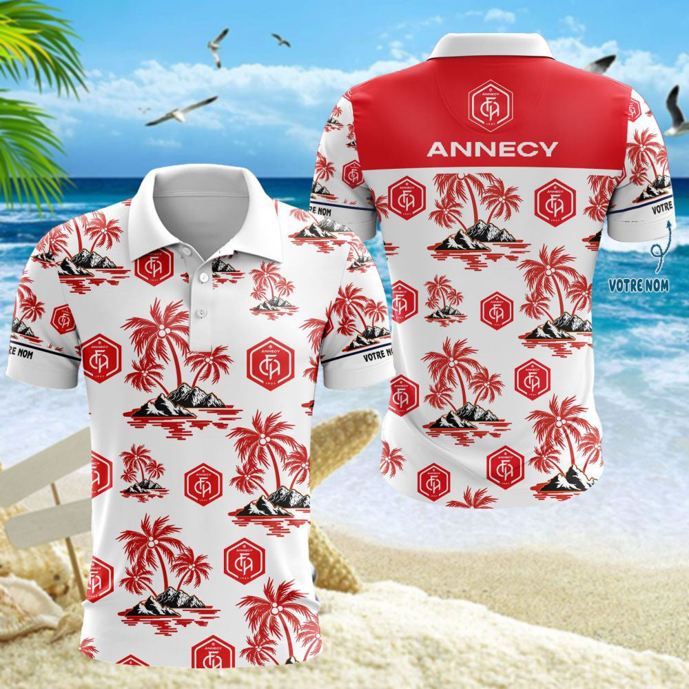 Polo FC Annecy 03 - Polo Football de Ligue 2