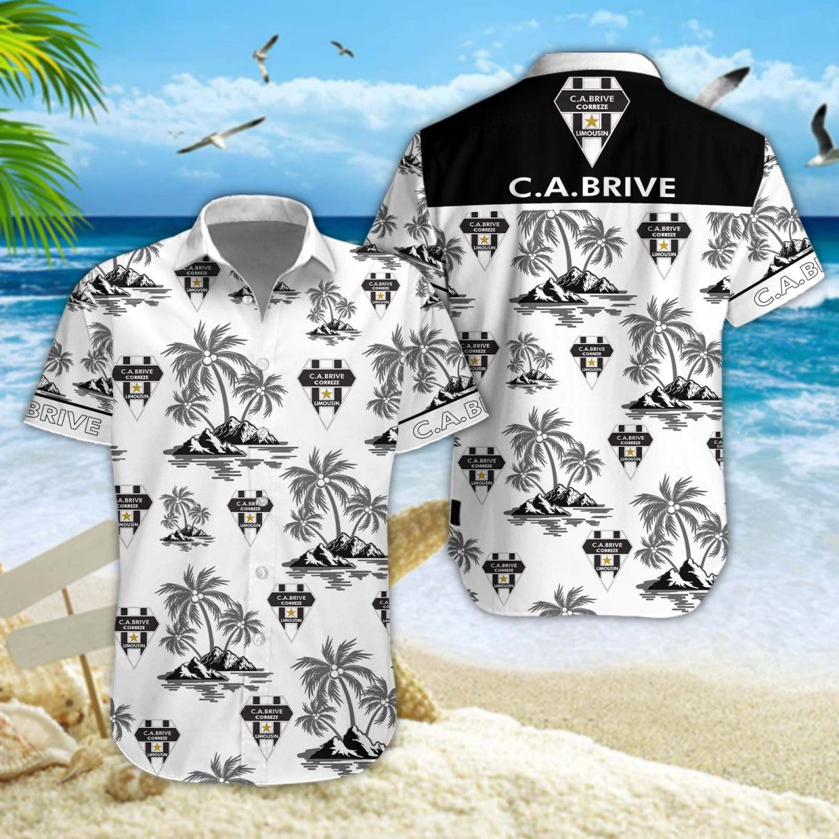 CA Brive WINQ11424