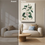 Tableau Botanique Salon Croton Illustration Médicale 1836