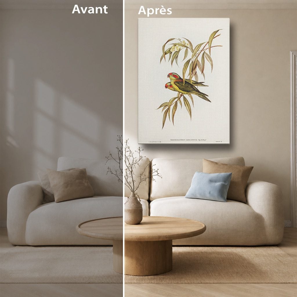 Tableau Nature Salon Loriquet Illustration Botanique