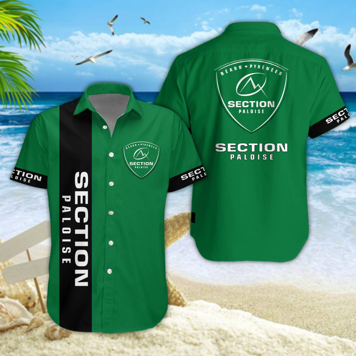 Section Paloise DDQQ20239